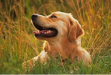 《空之轨迹 the 1st》全新预告视频 角色＆背景介绍！